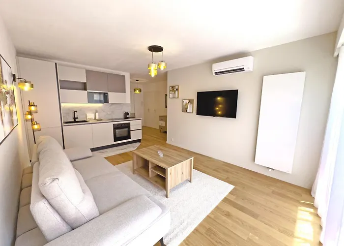 Center Massena 公寓